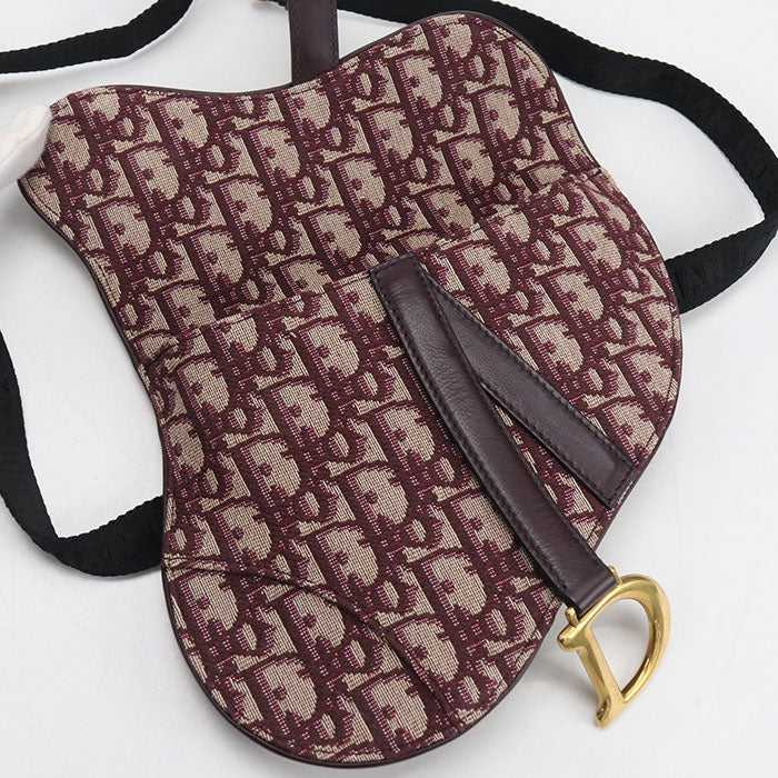 Dior Belt bag saddle body bag / Dior Oblique Women