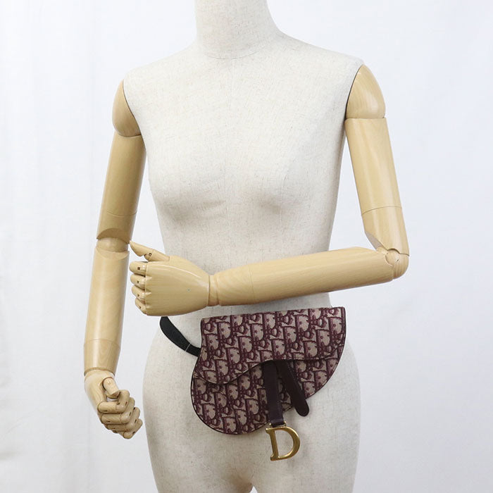 Dior Belt bag saddle body bag / Dior Oblique Women