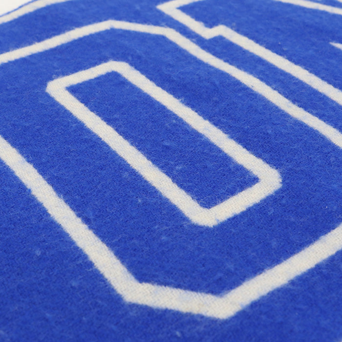 LOUIS VUITTON Echarpe City 54000 LV78399 Scarf wool/Echarpe City AB0198 mens